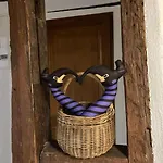 La Sorciere In A Typical Alsatian House Lägenhet *